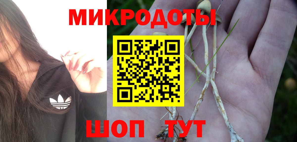 Лыткарино  Псилоцибиновые грибы прущие грибы  наркошоп  Вход с VPN  Псилоцибиновые грибы MAGIC MUSHROOMS 